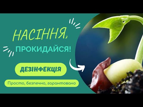 Видео: Як та чим обробити насіння перед посівом. Ч.1. Дезінфекція: безпечні та надійні способи