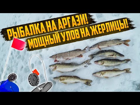 Видео: ПОПАЛ НА РАЗДАЧУ СУДАКА. НОЧНАЯ РЫБАЛКА НА ЖЕРЛИЦЫ. СУДАК, КЛЮЕТ ВСЮ НОЧЬ.