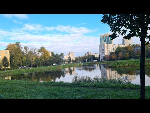 Видео: Санкт-Петербург. Прекрасное осеннее утро. Проспект Ветеранов.