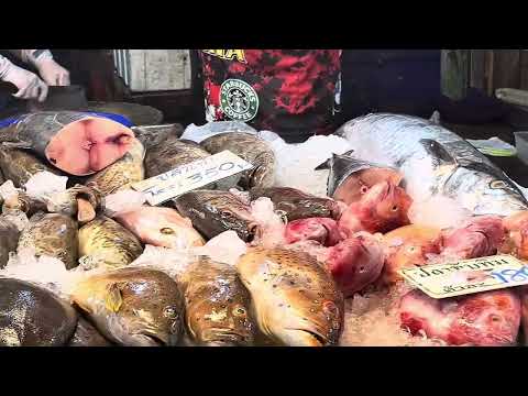 Видео: Поехали на рыбный рынок, купили всякой дичи 