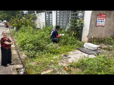 Видео: Добровольцы убирают заросшую траву на городских тротуарах с помощью простых инструментов.