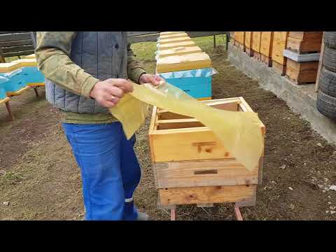 Видео: Ошибки начинающих пчеловодов. Часть 2.