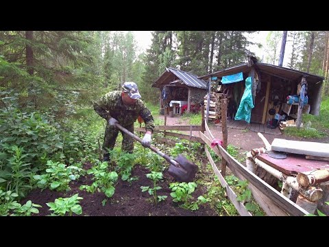 Видео: СОБРАЛИСЬ и УЕХАЛИ в ИЗБУ на ТРИ НОЧИ. ТАЁЖНЫЙ БЫТ на КОРДОНЕ. ПОГОДА не ПОМЕХА. Вторая часть.