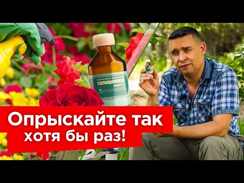 Видео: АПТЕЧНОЕ СРЕДСТВО ОТ ВСЕХ БОЛЕЗНЕЙ В САДУ И ОГОРОДЕ! Копеечный пузырек поднимет иммунитет растений