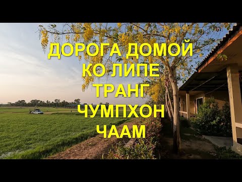 Видео: Дорога домой. Ко Липе -  Транг -  Чумпхон -  Чаам.