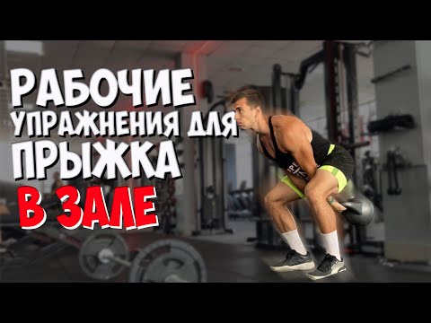 Видео: УПРАЖНЕНИЯ ДЛЯ ПРЫЖКА В ТРЕНАЖЕРНОМ ЗАЛЕ