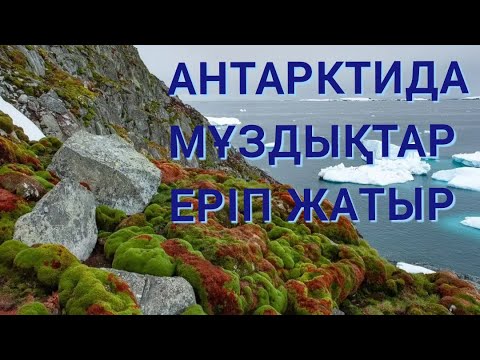 Видео: АНТАРКТИДА ҚАНШАЛЫҚТЫ ТЕЗ ЕРІП ЖАТЫР?