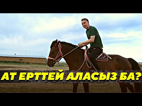 Видео: Ат ерттей аласыз ба?  Есен Елеукен / Ақтөбе Шалқар ауданы