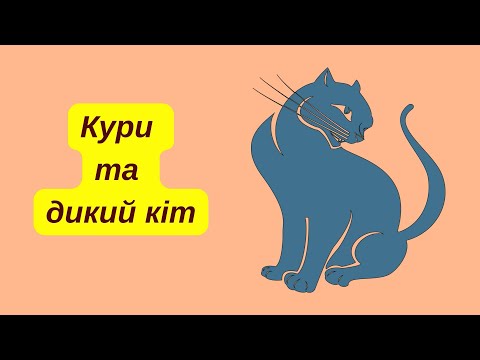 Видео: "Кури та дикий кіт"