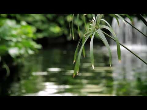 Видео: Музыка для сеансов Рэйки 26 позиций по 3 минуты