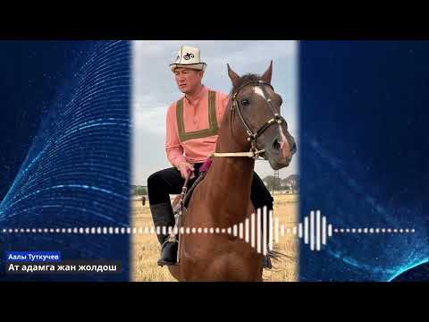 Видео: Аалы Туткучев. Ат адамга жан жолдош. #кыргызстан #акын #токмо #ат #жылкылар #алга