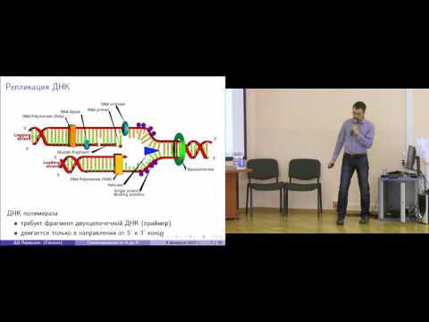 Видео: [ЗШ 2017]: Секвенирование от А до Я: обзор высокопроизводительных методов