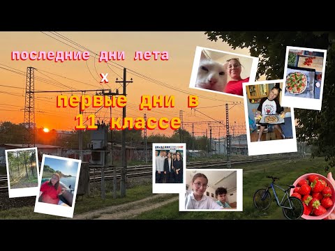 Видео: последняя неделя лета // первая неделя в 11 классе