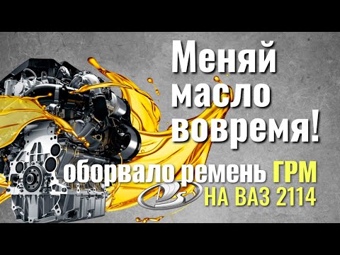 Видео: Вот что бывает из-за не качественного масла!