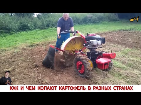 Видео: КАК КОПАЮТ КАРТОФЕЛЬ МОТОБЛОКОМ В РАЗНЫХ СТРАНАХ #4 /HARVESTING POTATOES IN DIFFERENT COUNTRIES