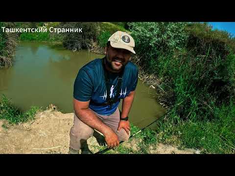 Видео: Где можно половить рыбу во время запрета?