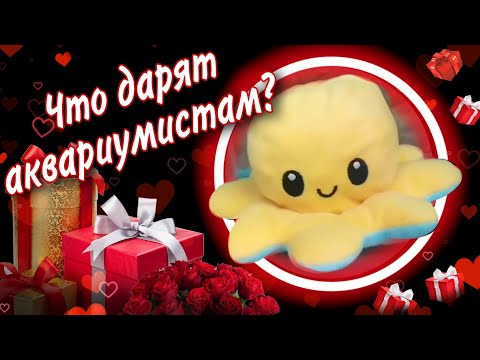 Видео: Что дарят девушкам аквариумистам на день рождения???