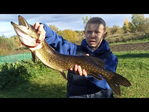 Видео: Трофейная рыбалка на спиннинг осенью 🎣