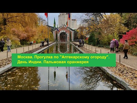 Видео: Москва. Прогулка по "Аптекарскому огороду" на Проспекте Мира. Пальмовая оранжерея (31.10.2024)