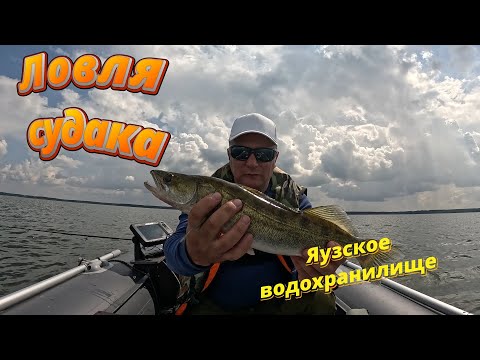 Видео: Ловля судака. Яузское водохранилище.