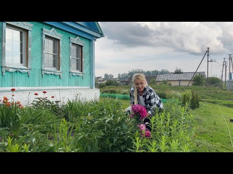 Видео: ВЫСАДИЛИ ТУИ/ПЕРВЫЕ ЗАГОТОВКИ НА ЗИМУ/КЛУБНИКА В СОБСТВЕННОМ СОКУ