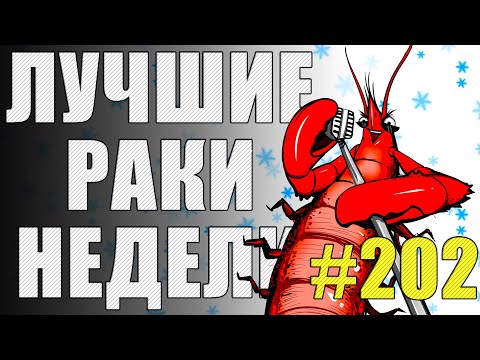 Видео: ЛРН выпуск №202 ❄️ ШЕСТНАДЦАТЫЙ ИГРОК и ОБЕЗДВИЖЕННЫЙ ГЕРОЙ [Лучшие Раки Недели]