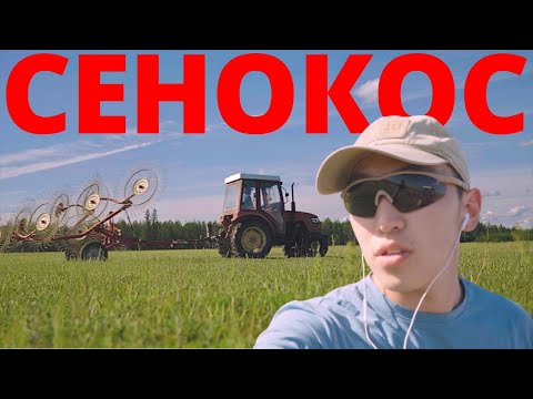 Видео: СЕНОКОС 2025