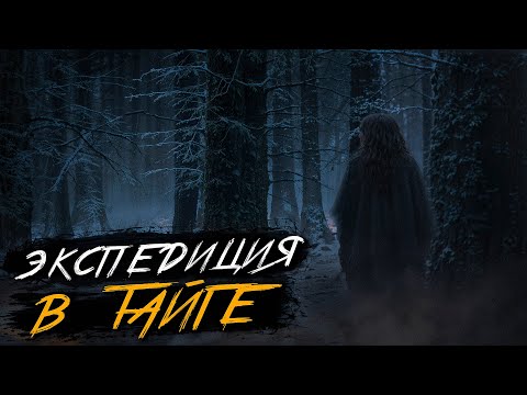 Видео: ЭКСПЕДИЦИЯ В ТАЙГЕ ПРИВЕЛА К УЖАСНЫМ ПОСЛЕДСТВИЯМ.. Страшные истории на ночь