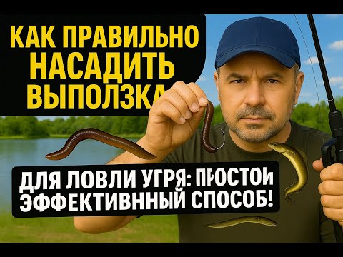Видео: Как правильно насадить выползка для ловли угря: простой и эффективный способ!