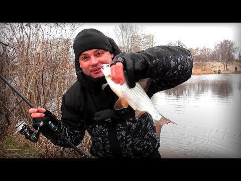 Видео: А розмір який попер !!! Рибалка на зимову Тарань !!!