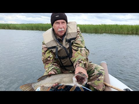 Видео: Щука на посошок. Дусай-Кичу 27.07. 25.