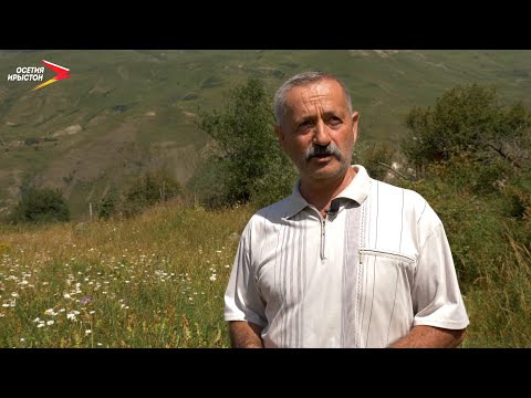 Видео: Рагон бæрæгбон Къаматы хъæу I Фыдæлты уæзæгмæ