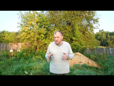 Видео: Начинаем вабить волка.