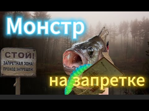 Видео: Рыбалка в сентябре. Спиннинг.Охота на щуку и окуня осенью 2025