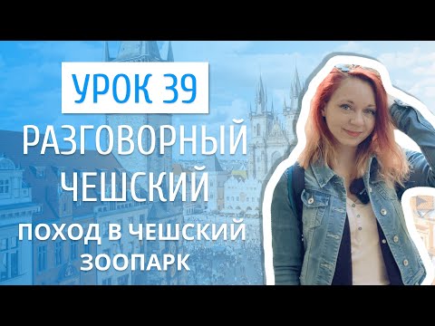 Видео: Урок 39. Разговорный чешский I Поход в зоопарк: животные на чешском языке