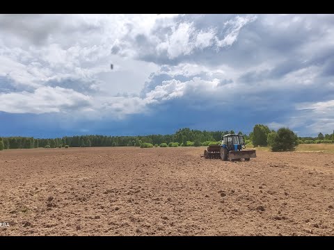 Видео: Обработка земли, для посева медоносов.