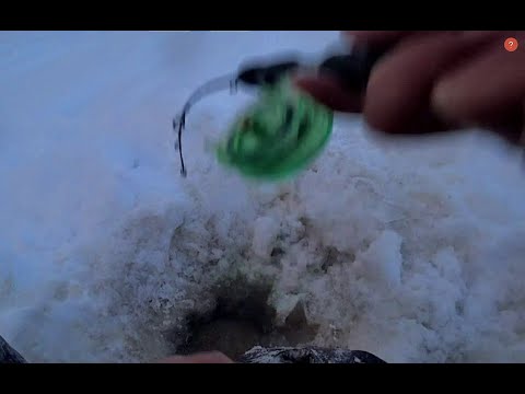 Видео: РАДИ ТАКОЙ РЫБАЛКИ Я ТУДА И ЕХАЛ!!Крупный окунь на балансир!Рыбалка 2021 , Комбайны,Бурлак Егерь