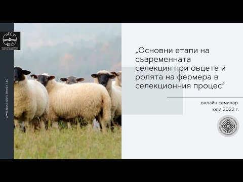 Видео: Oсновни етапи  на съвременната селекция при овцете и ролята на фермера в селекционния процес