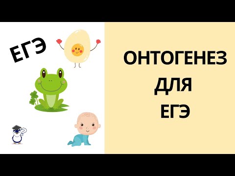 Видео: Онтогенез. Эмбриональное и постэмбриональное развитие организмов для ЕГЭ