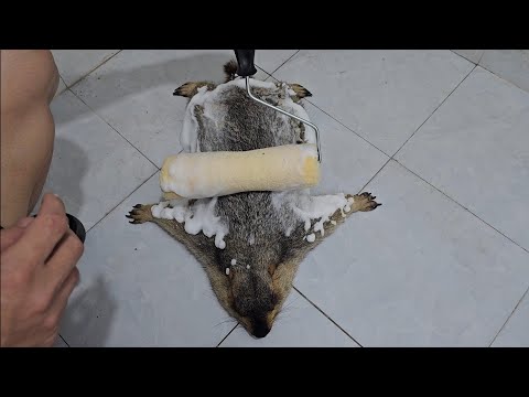 Видео: сурка можно чистить валиком.