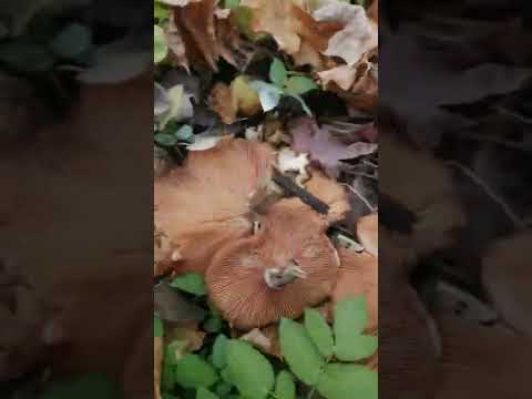 Видео: Завершение сезона 2022 !!!