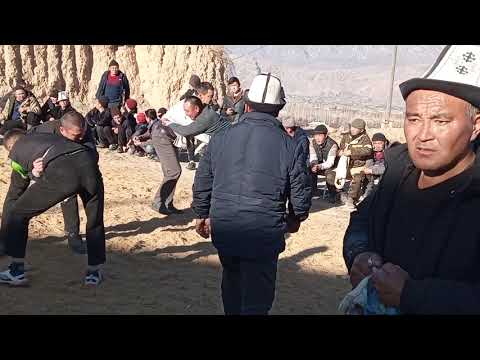 Видео: сырт курош айшаталары 79.дар