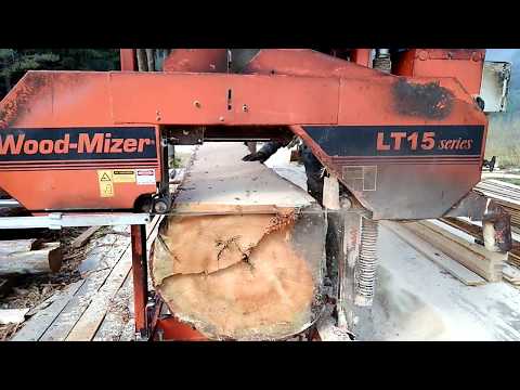 Видео: Wood Mizer LT-15 Пилим сосну на 62 см. Двигатель Kohler Pro-15