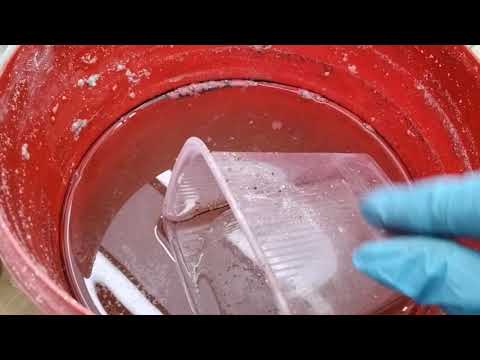 Видео: #254.Плющелистная пеларгония-обрезка,черенкование.