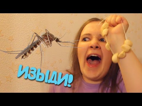 Видео: ЛЕТО : ОЖИДАНИЕ и РЕАЛЬНОСТЬ