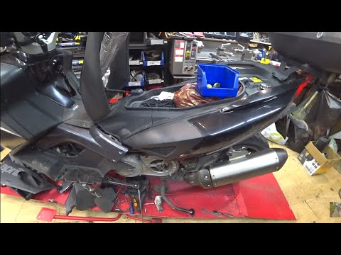 Видео: 144. Априлия на укропе.