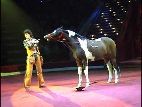 Видео: Yakubovskie.ru Comic Cowboy Horse Moscow Circus, Цирковой номер Комический Ковбой Якубовские