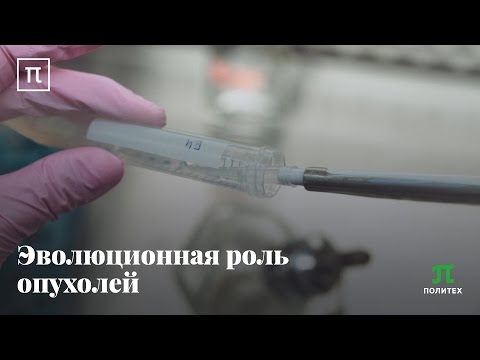 Видео: Эволюционная роль опухолей Андрей Козлов