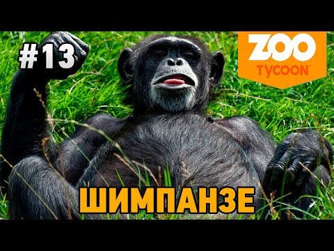 Видео: Zoo Tycoon Ultimate Animal Collection #13 Шимпанзе