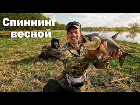 Видео: Ловля ЖЕРЕХА весной с НУЛЯ ( начинающий ). Рыбалка весной